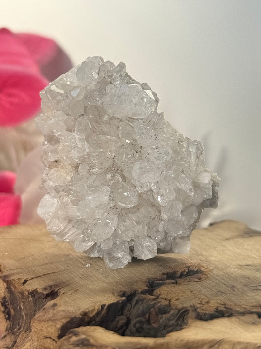 Chrysanthemum Quartz Cluster