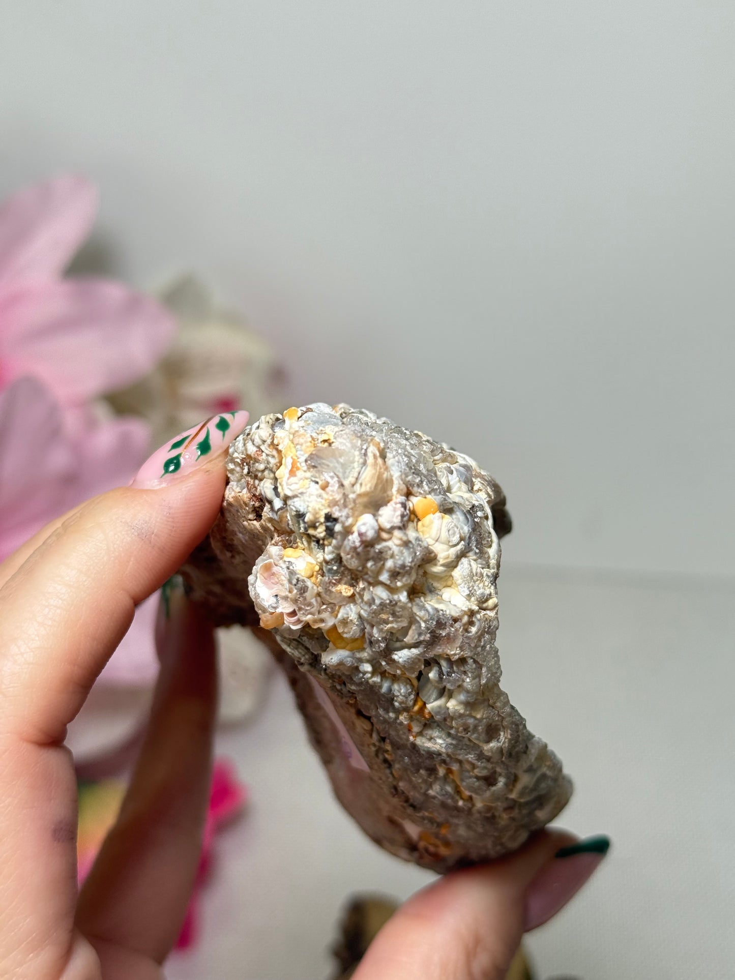 Chalcedony Raw (Brazil)