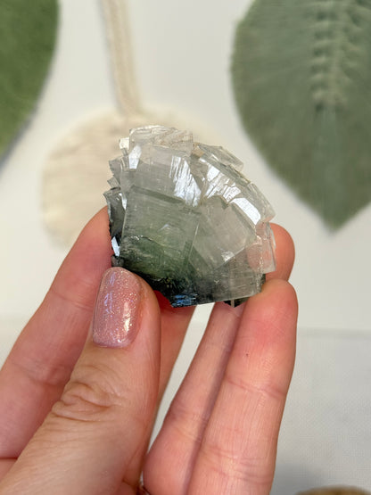 Bundle 7 - Clearance