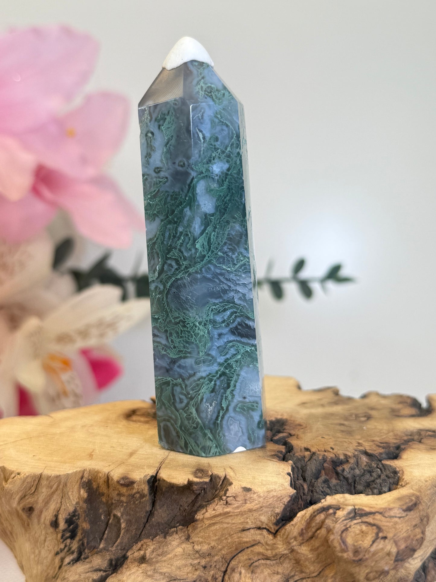 Moss Agate Point