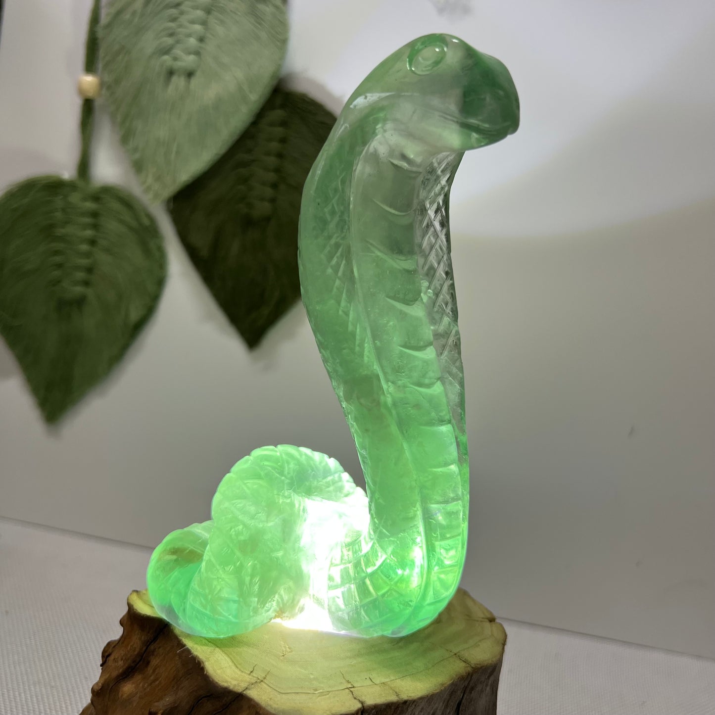 Large Fluorite Cobra Snake