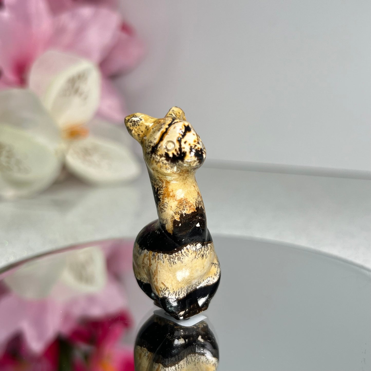 Picture Jasper Llama