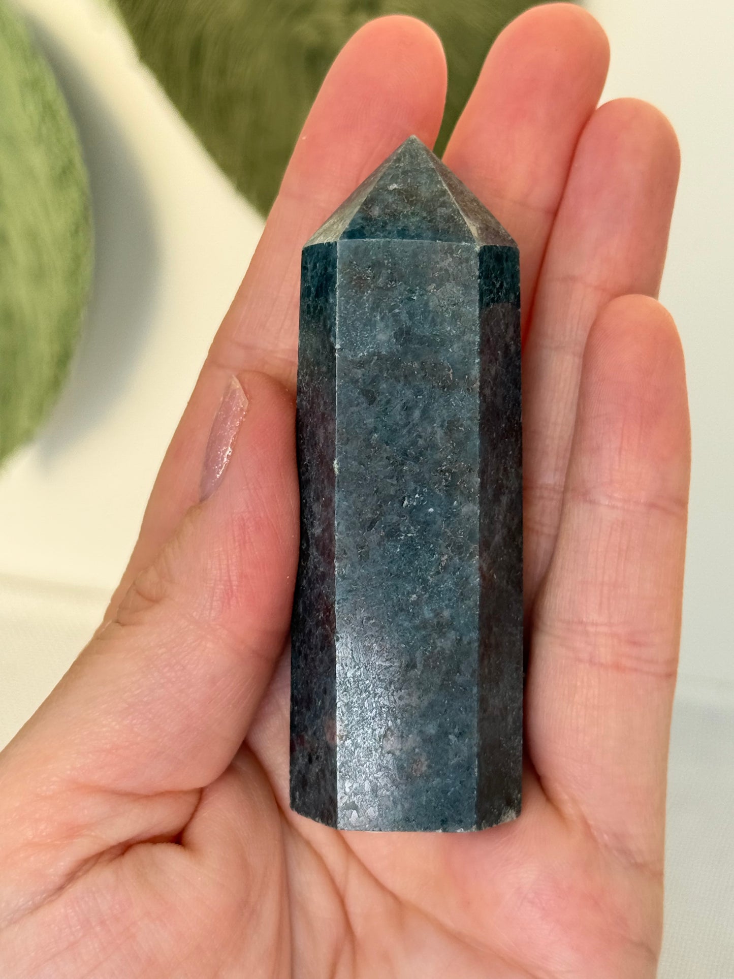 Ruby In Kyanite Point