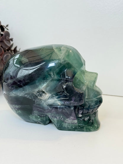 Large 1.5kg Fluorite Skull