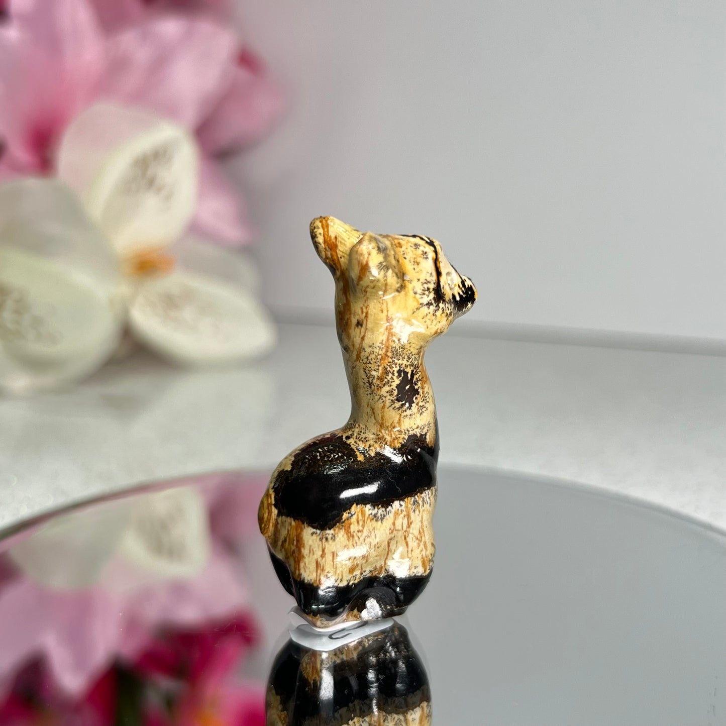 Picture Jasper Llama