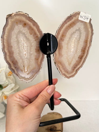 Agate Wings