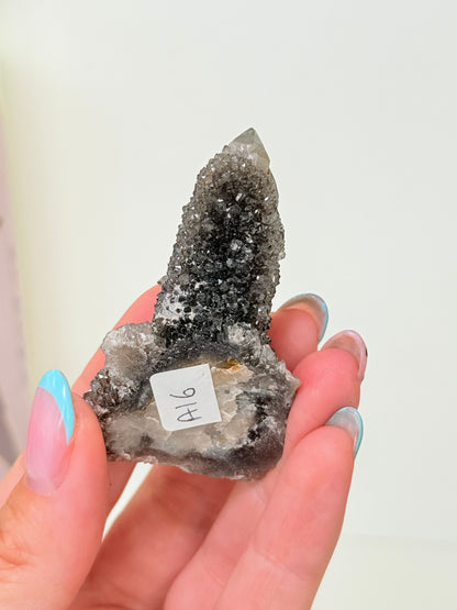 Black Spirit Quartz Specimen