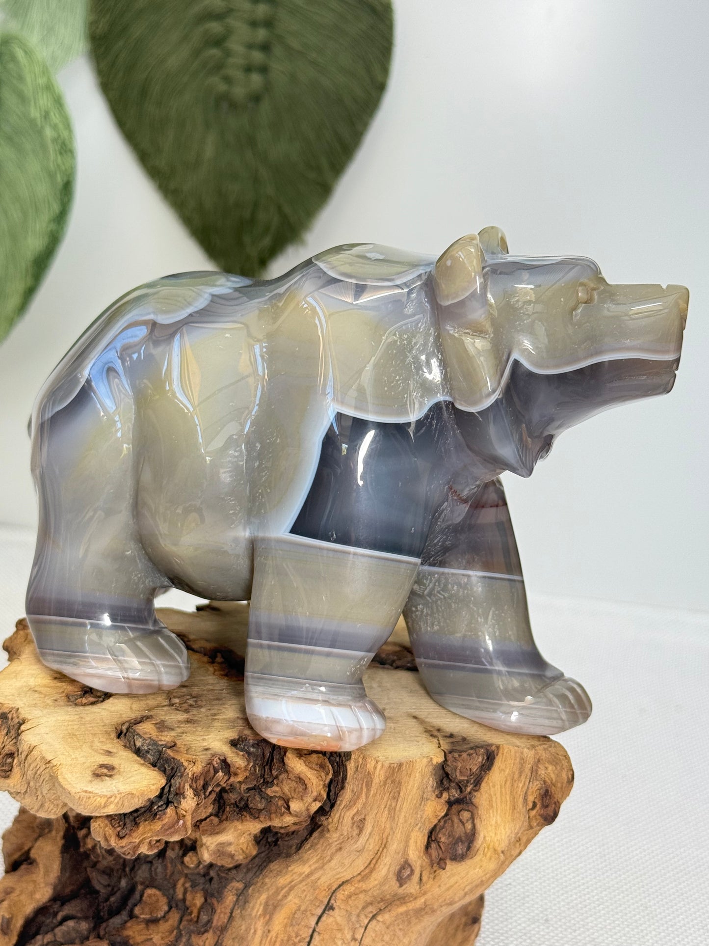 XL Druzy Agate Bear