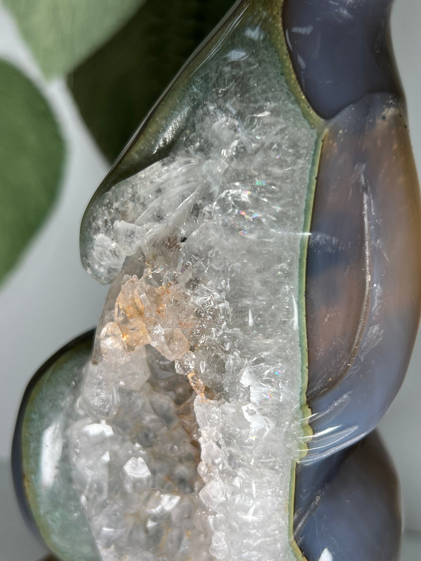 Large Druzy Agate Kangaroo