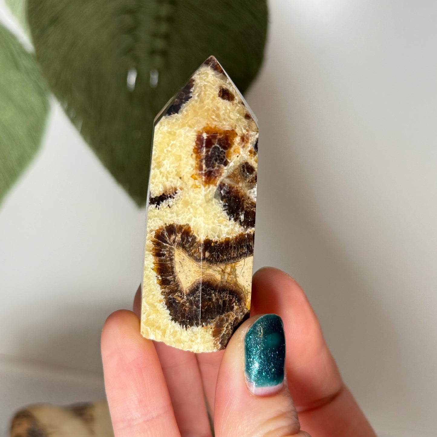 Septarian Point