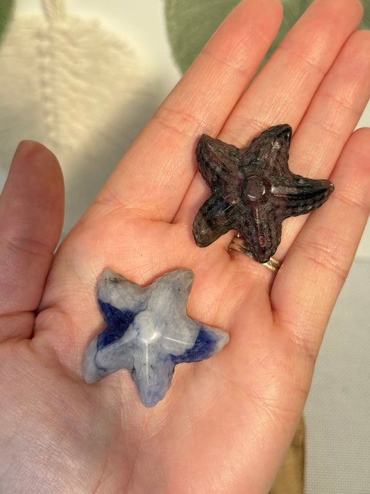 Starfish Carving