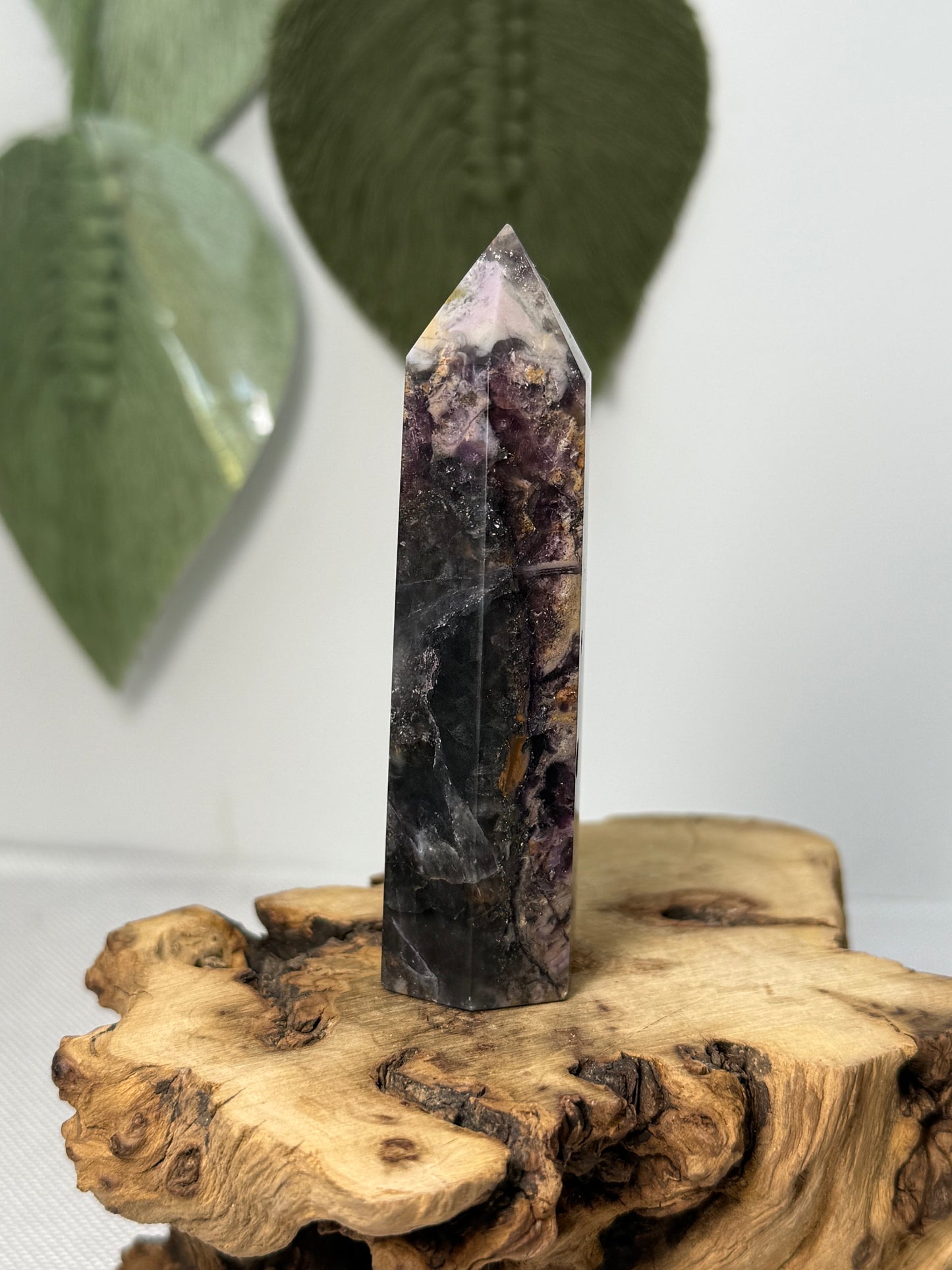 Fluorite Root Point