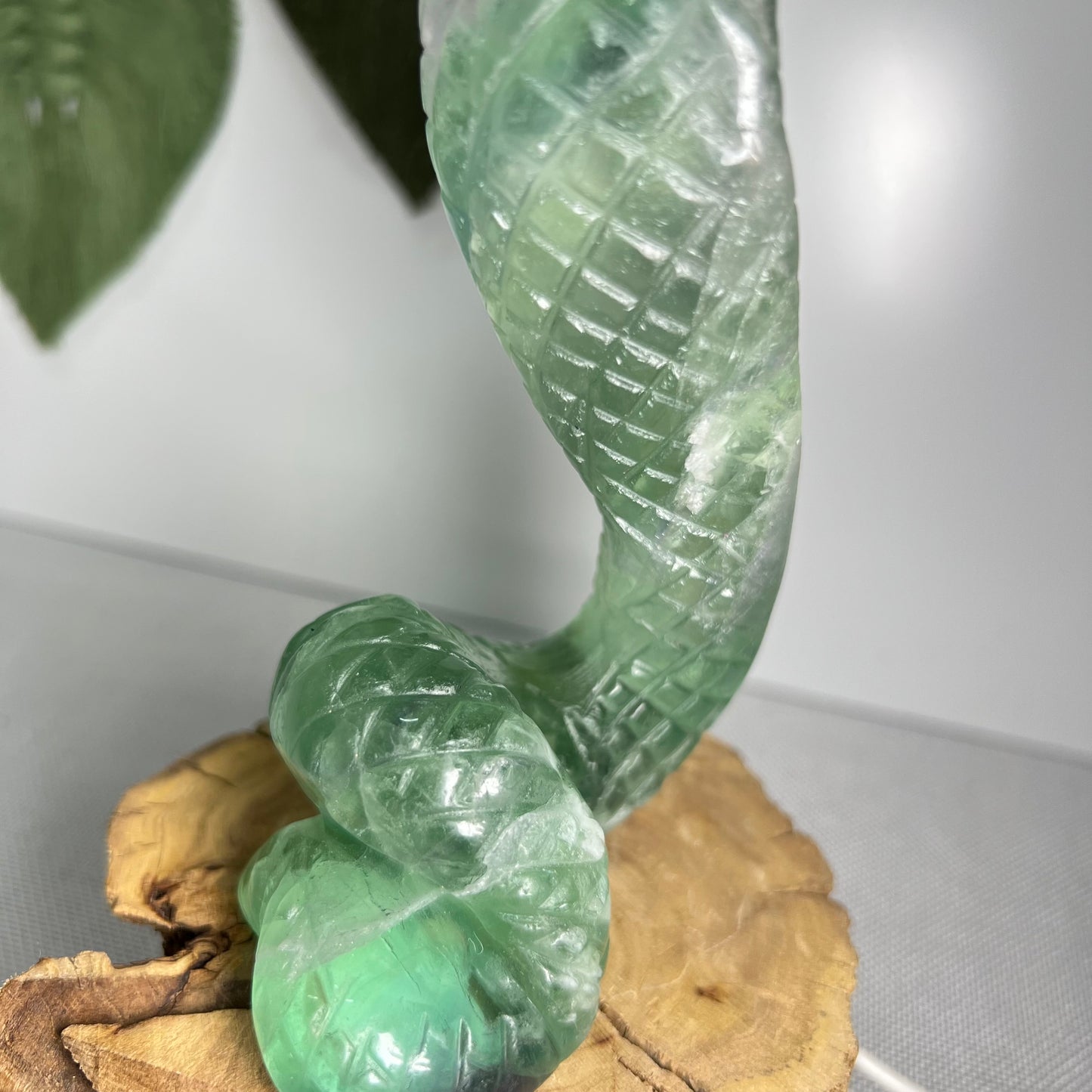 Large Fluorite Cobra Snake