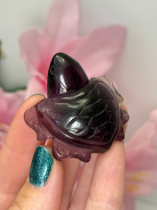 Fluorite Turtle (Minor Damage)