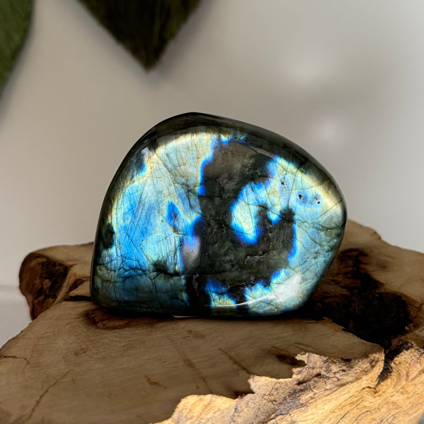 Labradorite Freeform