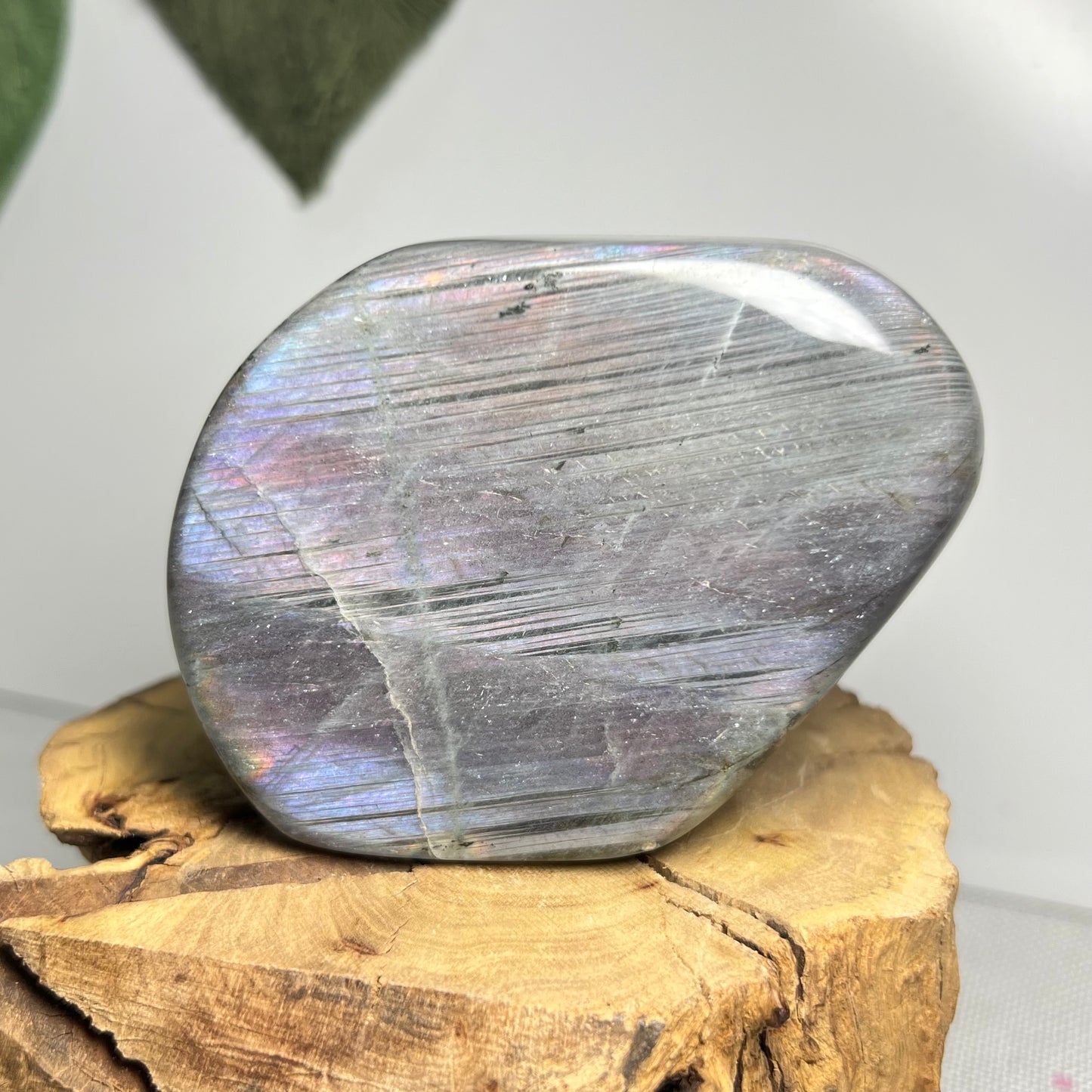 Labradorite Freeform