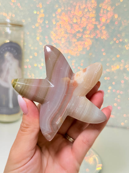 Pink Banded Onyx Starfish
