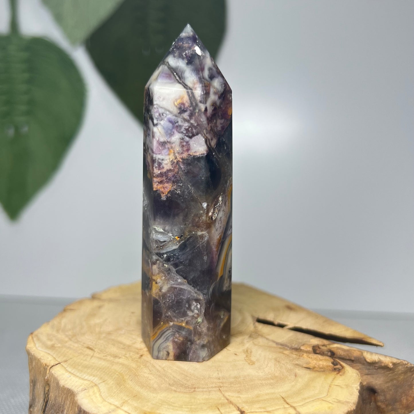 Fluorite Root Point