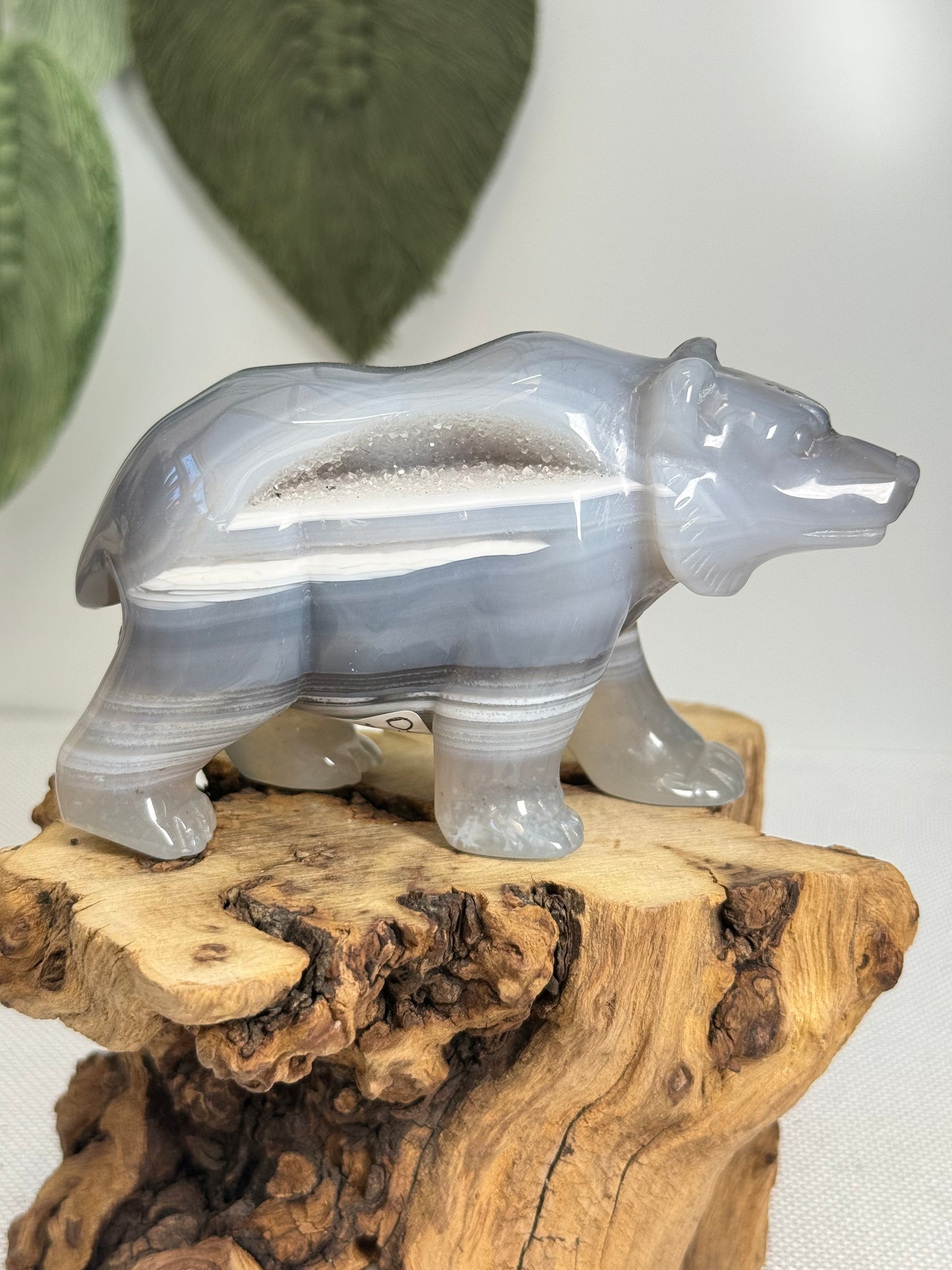Druzy Agate Bear