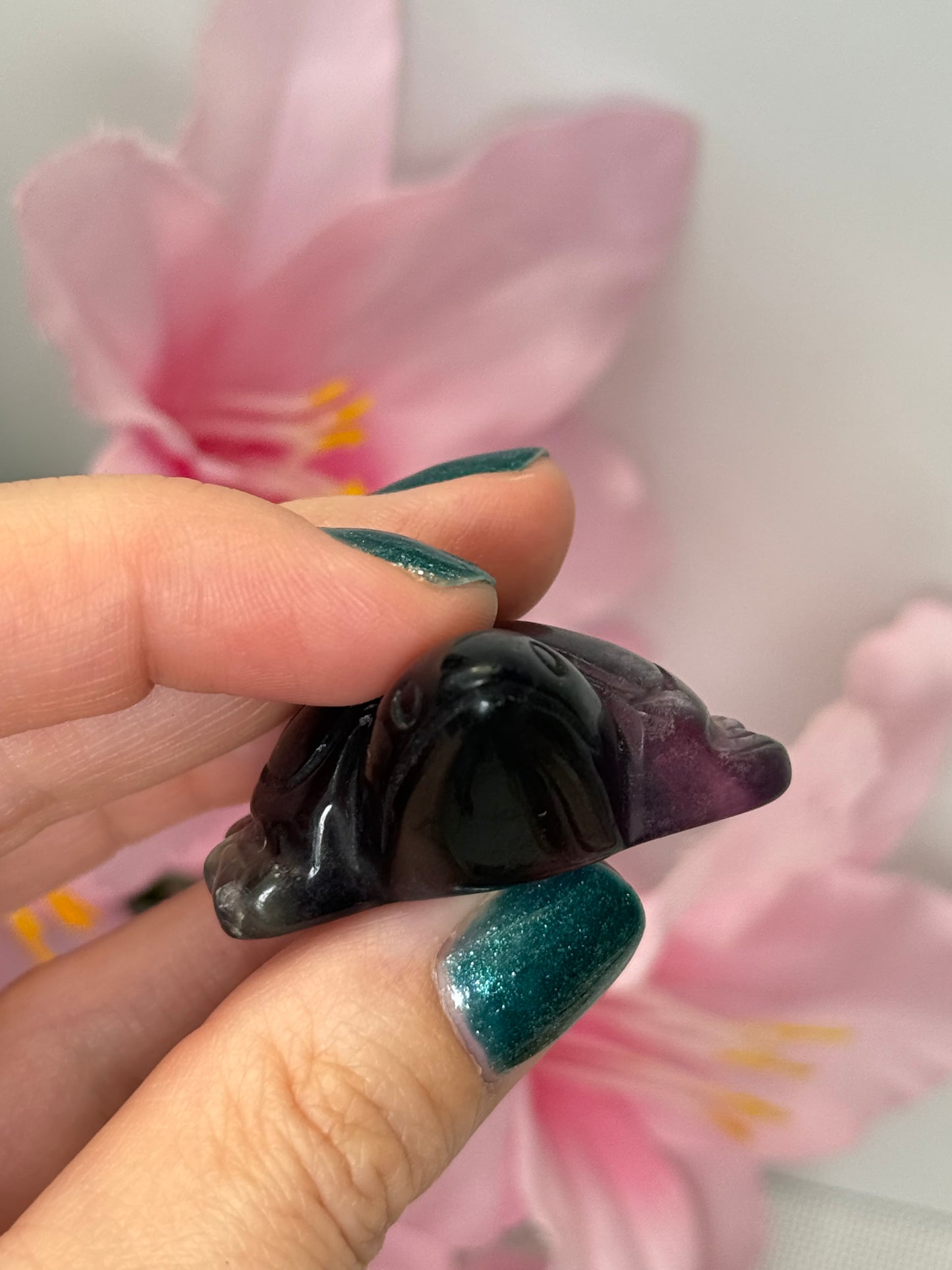 Fluorite Turtle (Minor Damage)