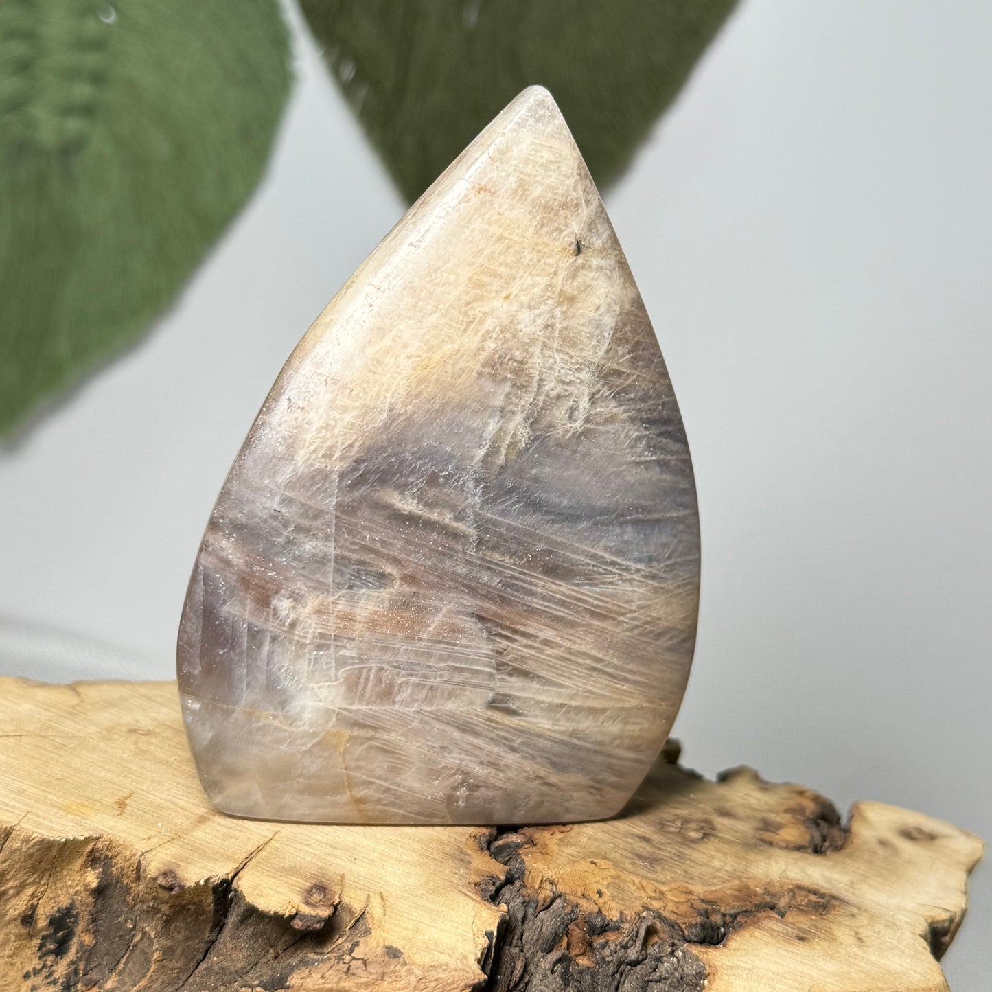 Moonstone Teardrop Freeform