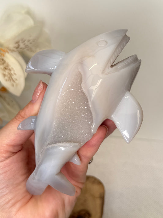 Druzy Agate Shark