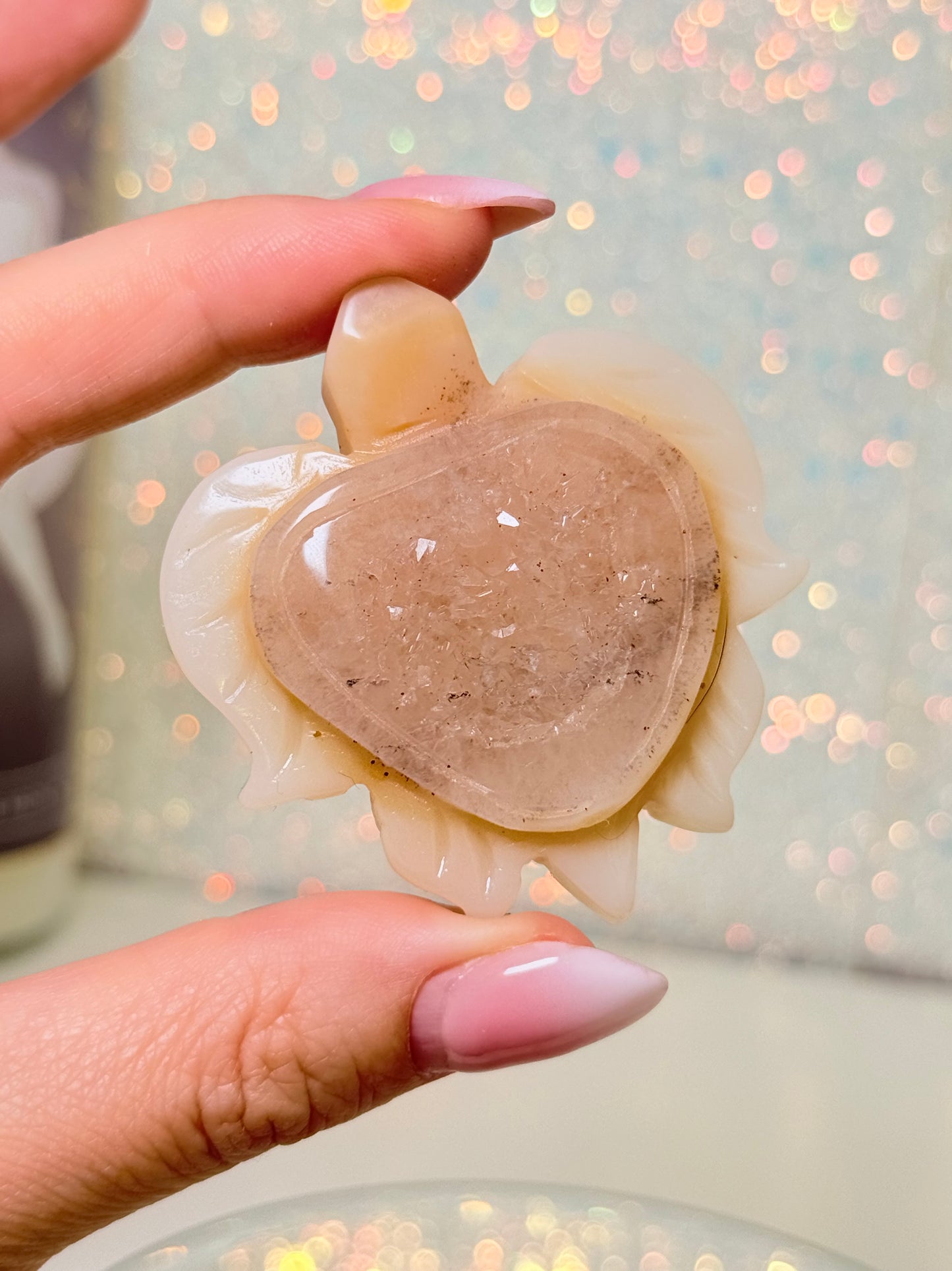 Agate Turtle (D)