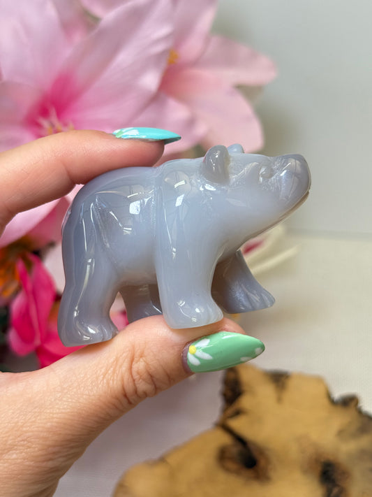 Agate Bear
