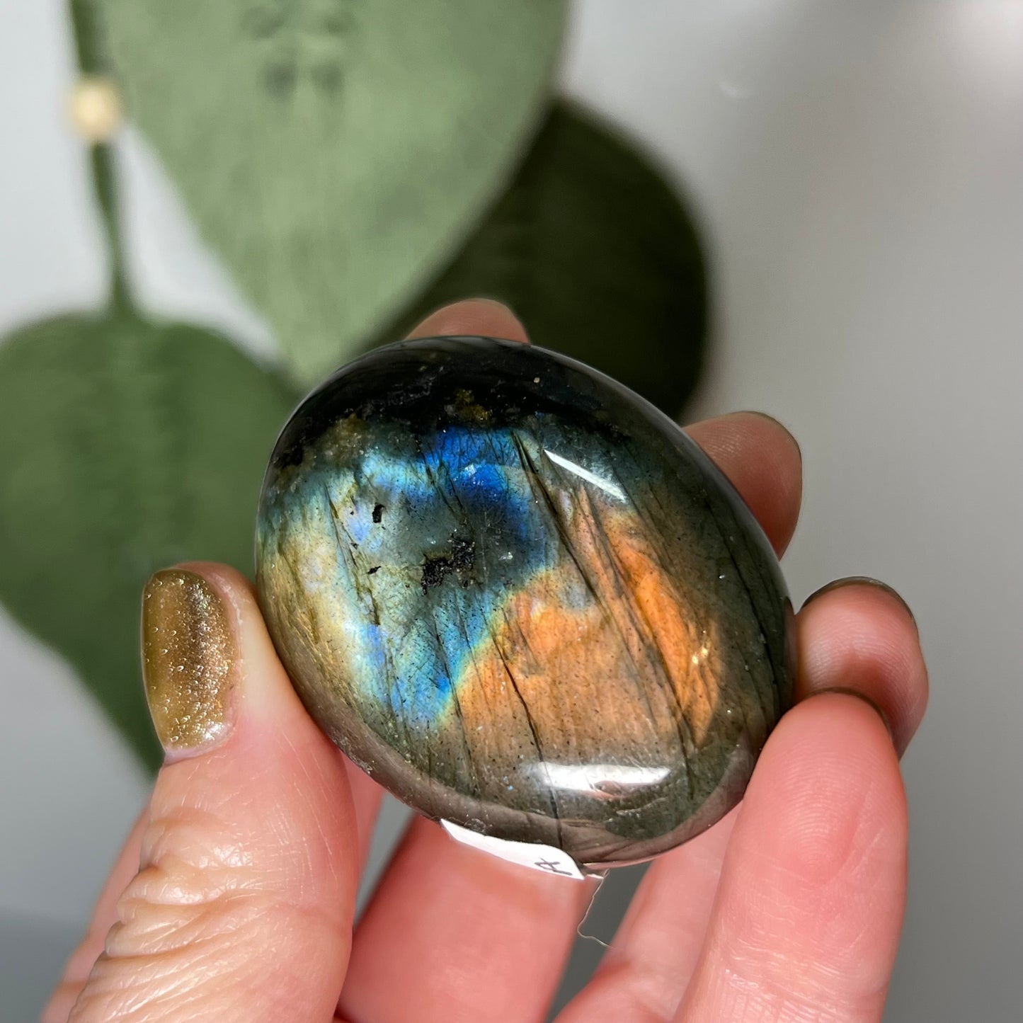 Labradorite Palm Stone