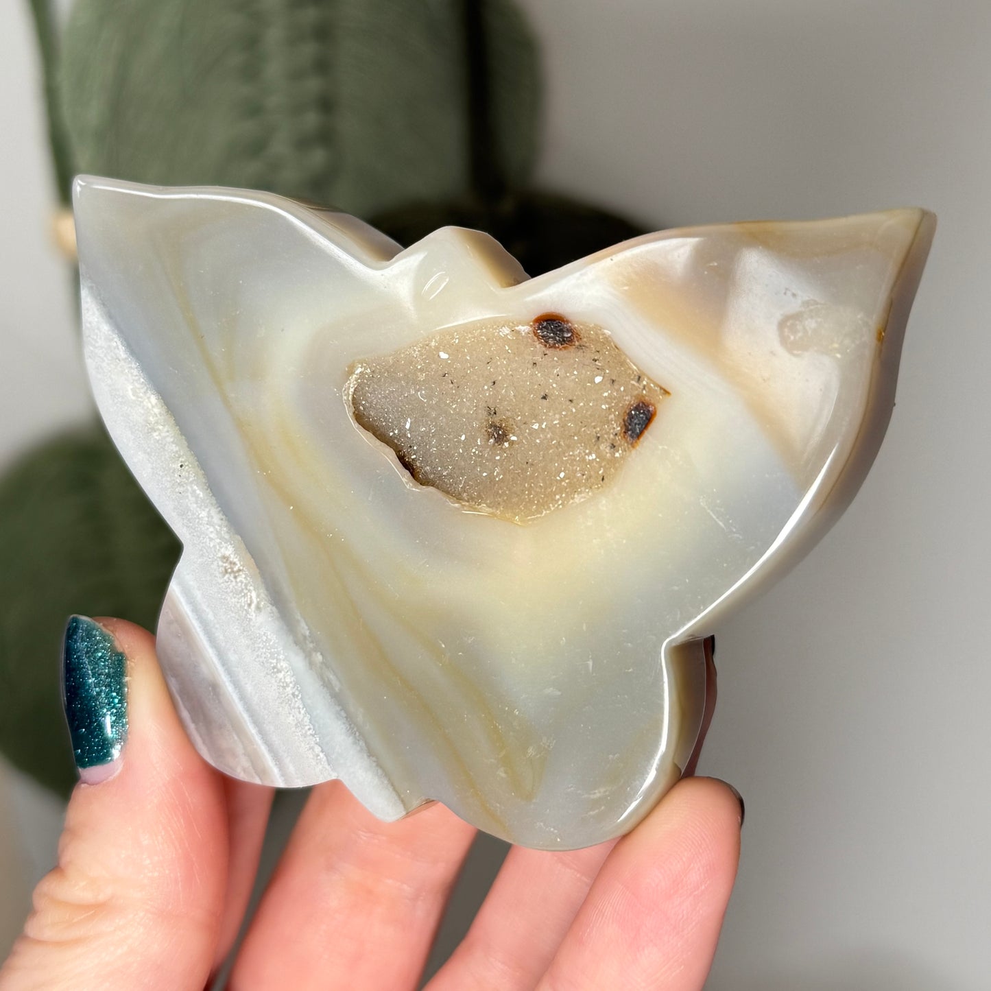 Druzy Agate Butterfly