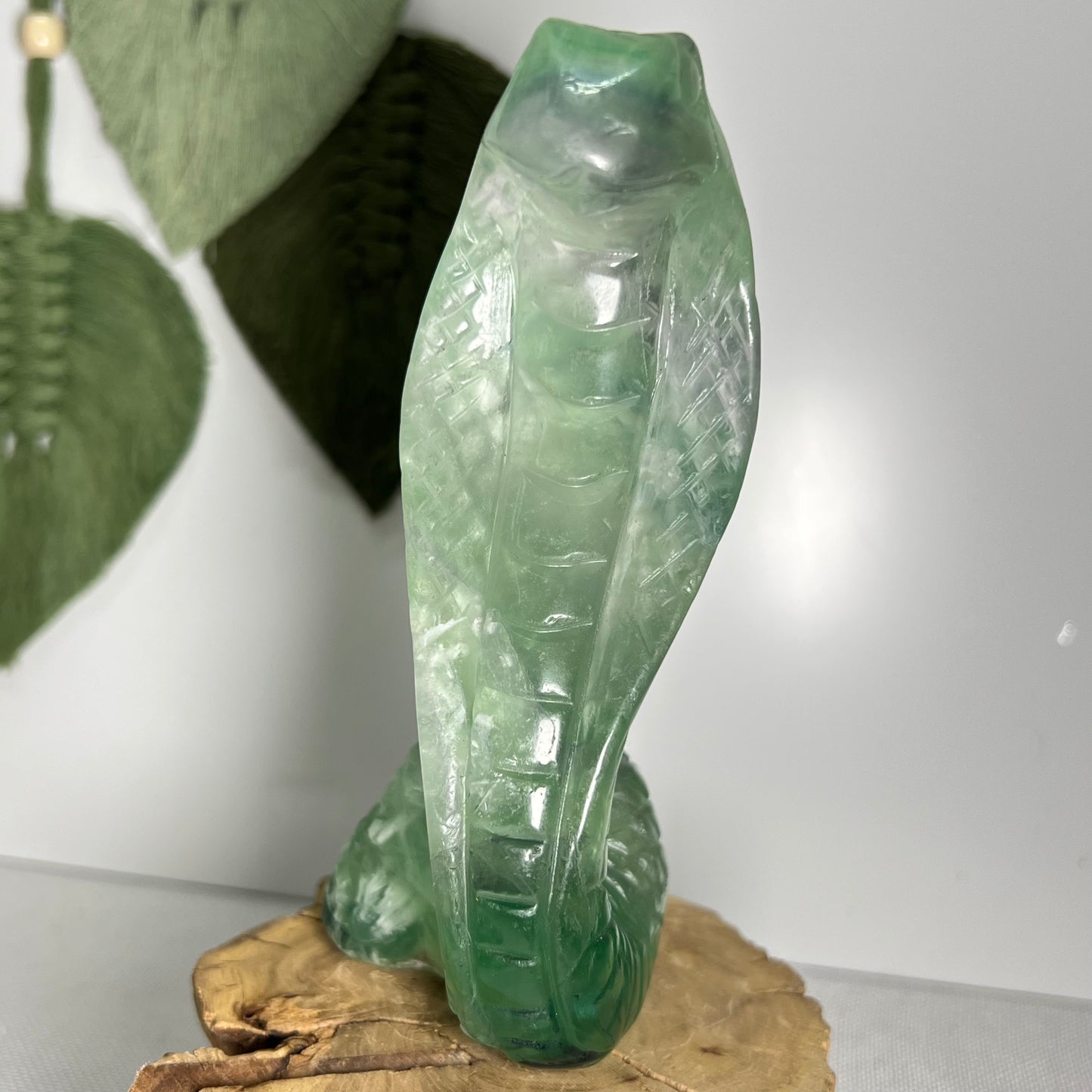 Large Fluorite Cobra Snake