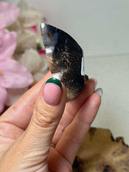 Palm Root Butterfly (Indonesia)