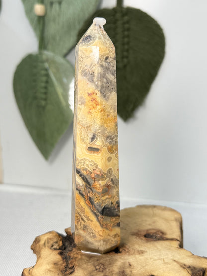 Crazy Lace Agate Point