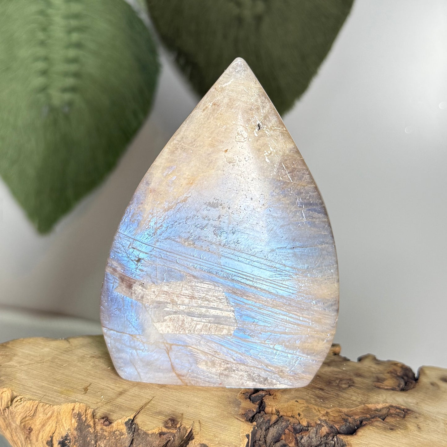 Moonstone Teardrop Freeform