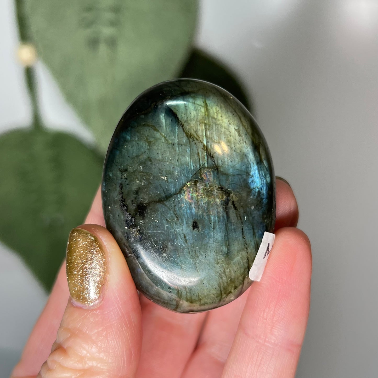 Labradorite Palm Stone