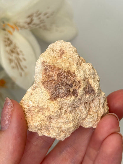 Pink Amethyst Geode (Patagonia, Argentina)