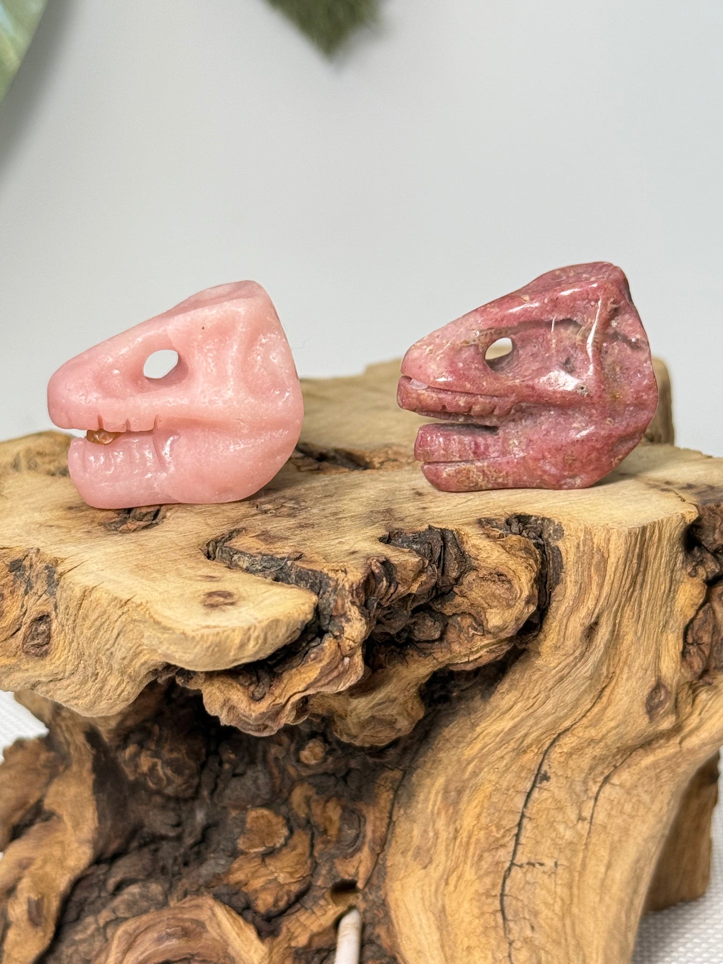 Dino Skull Carving