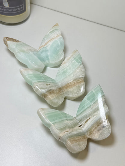 Caribbean Calcite 3D Butterflies