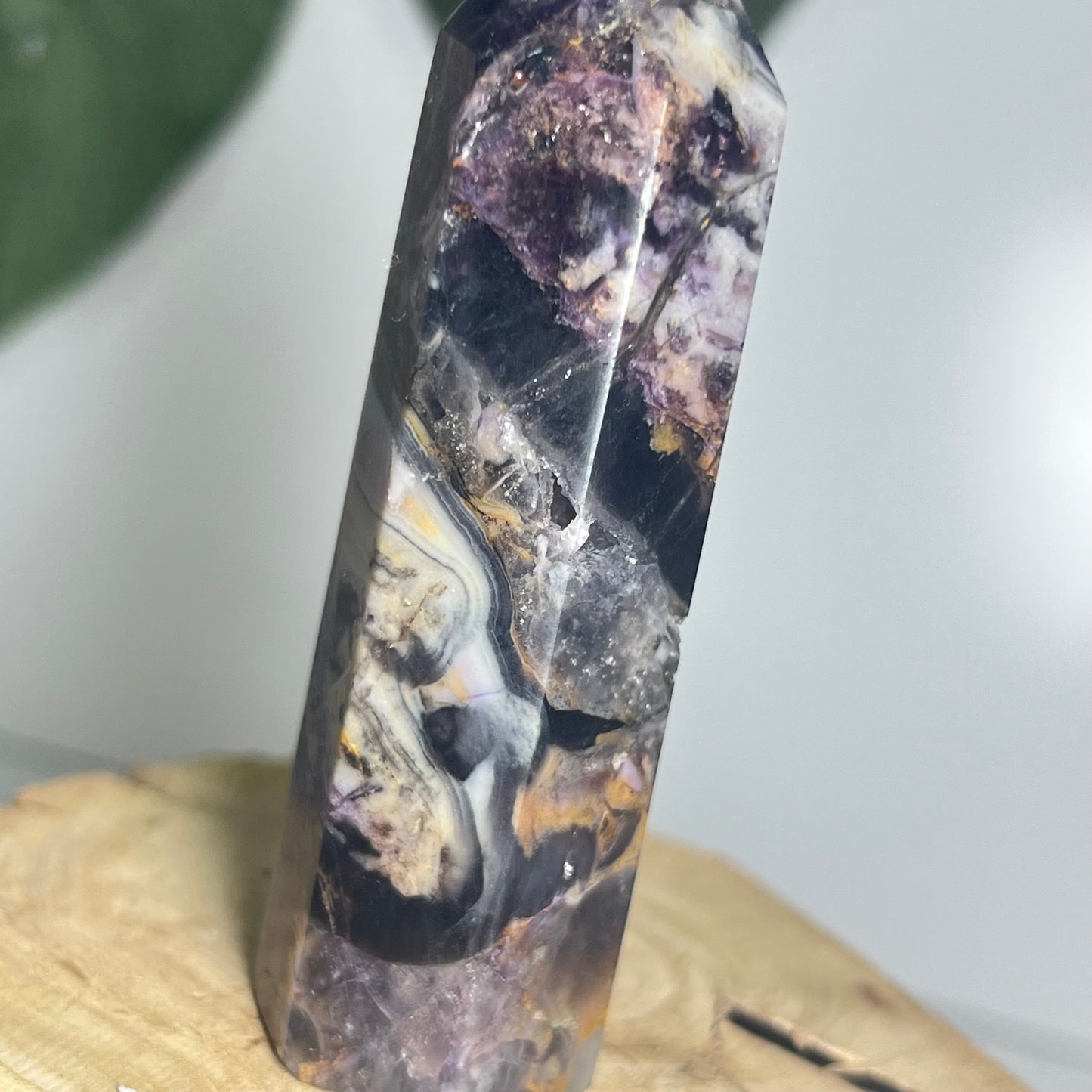 Fluorite Root Point