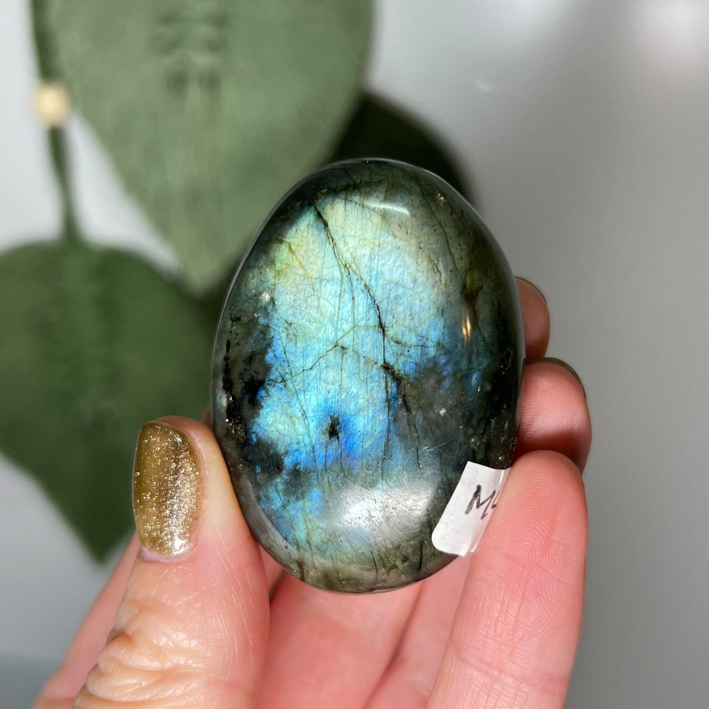 Labradorite Palm Stone