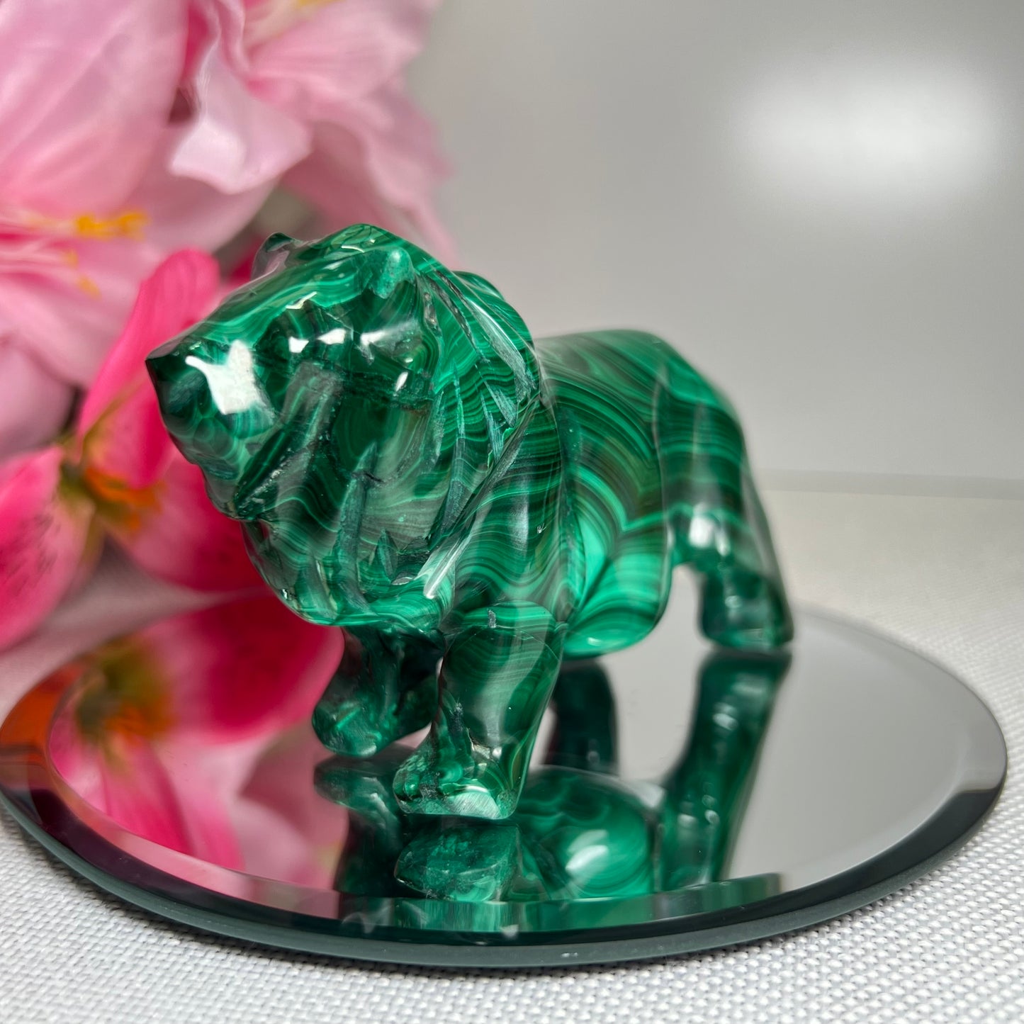 Large Malachite Lion