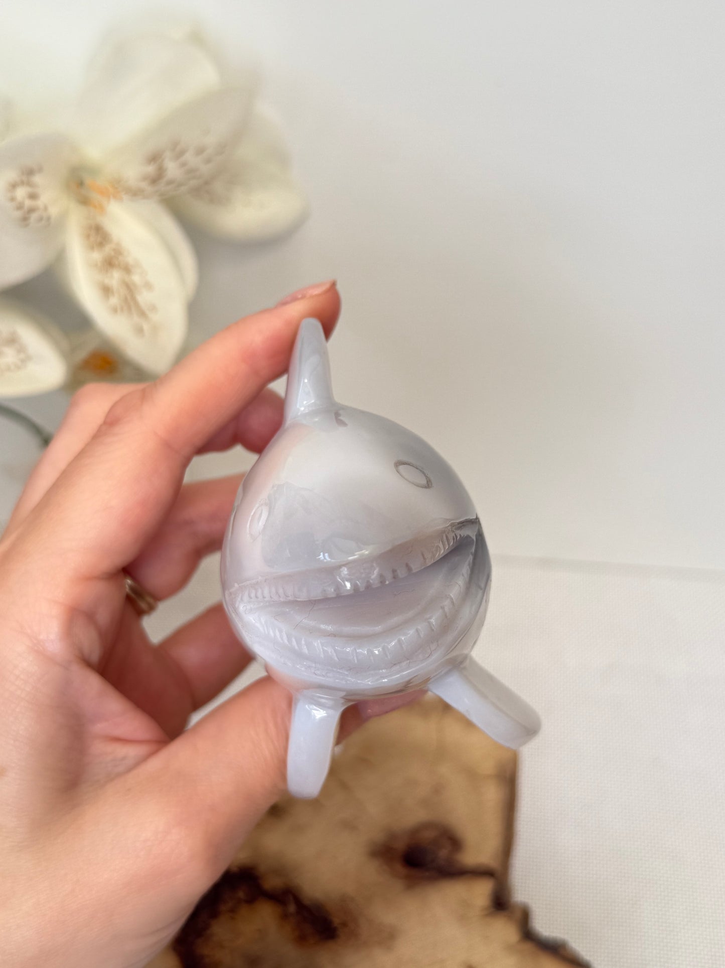 Druzy Agate Shark