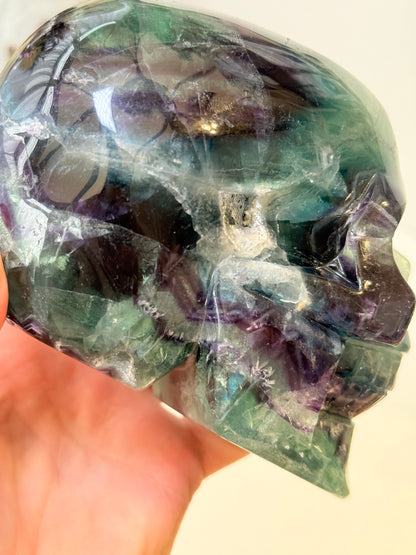 Large 1.5kg Fluorite Skull