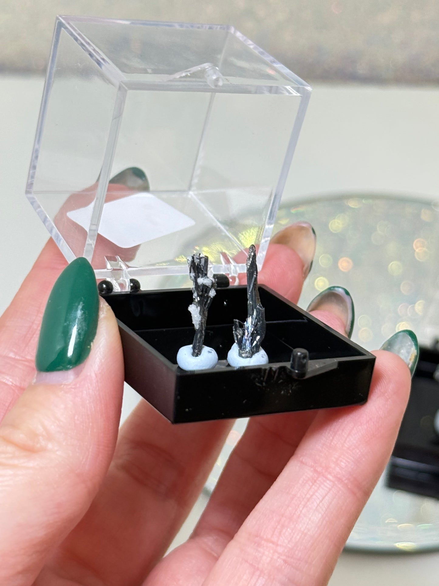 Stibnite Specimen In box