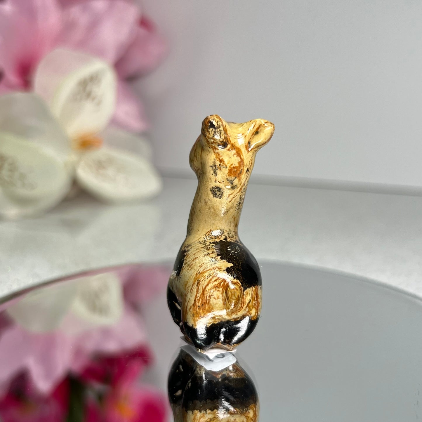 Picture Jasper Llama