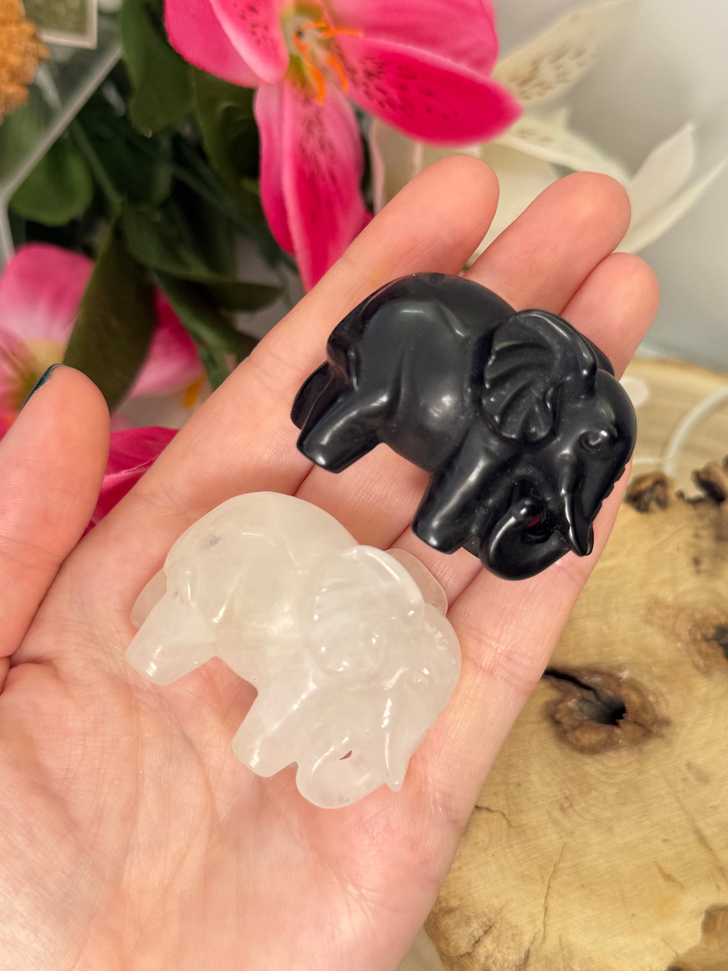 Elephant Carvings