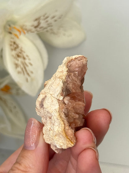 Pink Amethyst Geode (Patagonia, Argentina)
