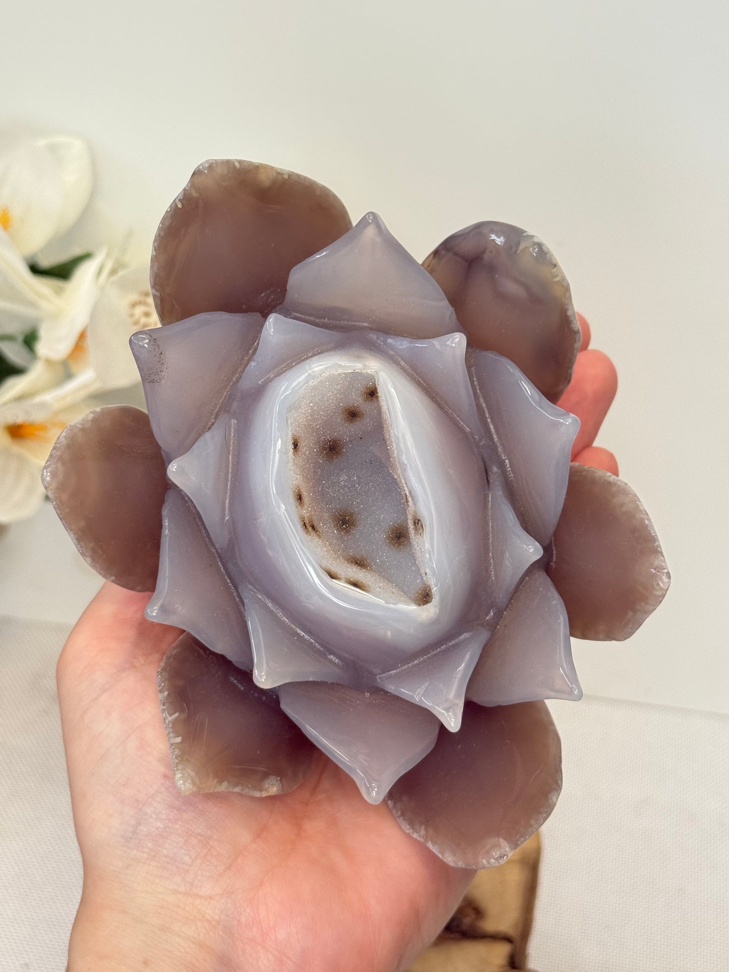 Large Druzy Agate Lotus