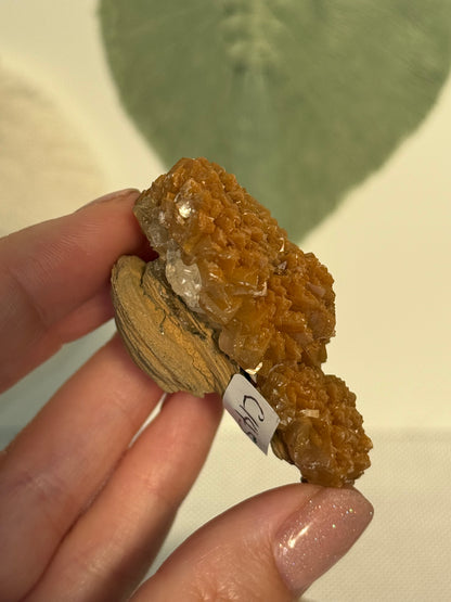 Bundle 8 - Clearance