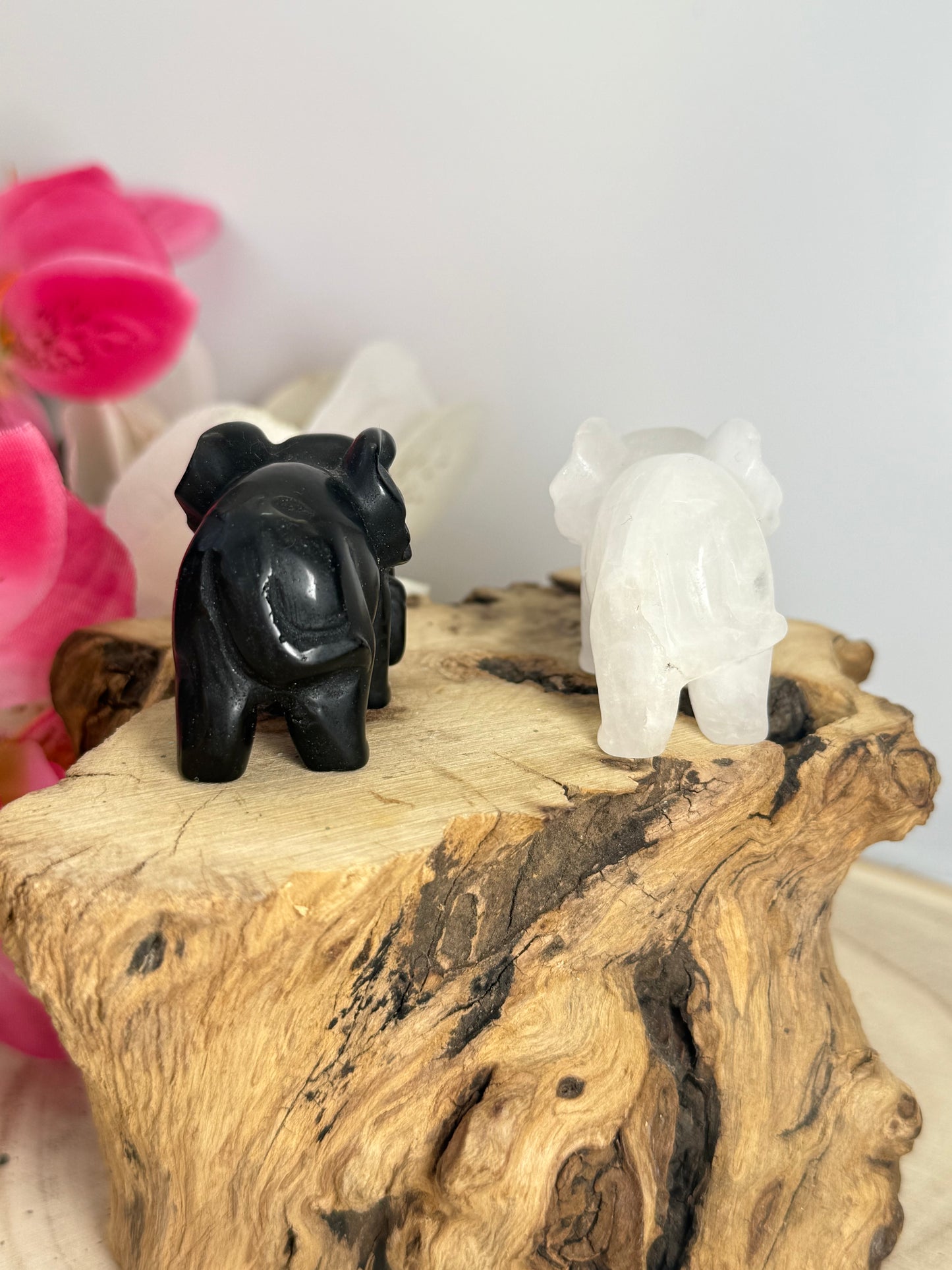 Elephant Carvings
